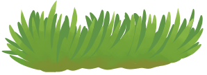 hairgrass